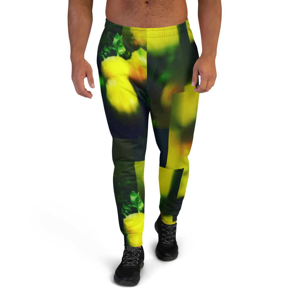Manipura Men's Joggers