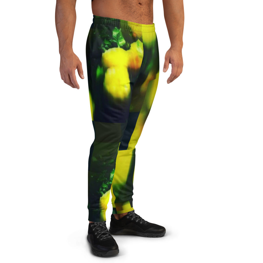 Manipura Men's Joggers