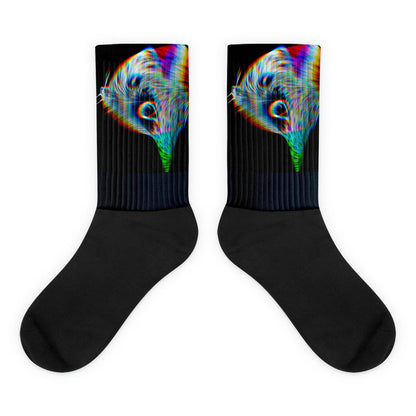 Bellator Socks