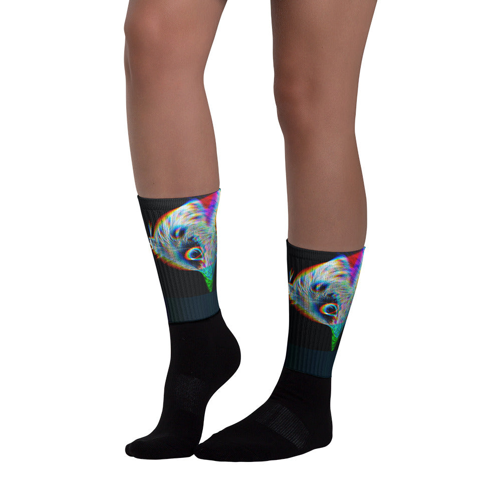 Bellator Socks